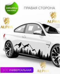 Наклейка на автомобиль - Фото 2