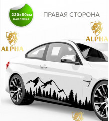 Наклейка на автомобиль - Фото 1