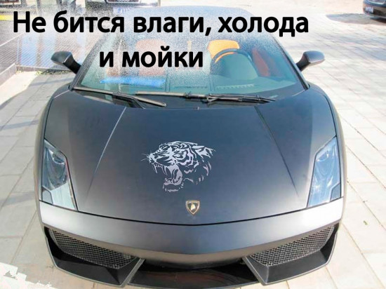 Наклейка на автомобиль