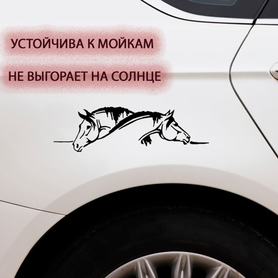 Наклейка на автомобиль «Лошадь»