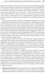 Энергия жизни. Как изменить метаболизм и сохранить здоровье - Фото 8