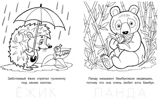 Раскраска «Дружелюбный зайчонок»