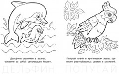 Раскраска «Забавный бельчонок» - Фото 2