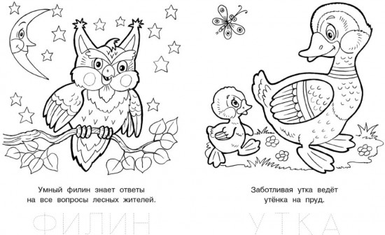 Раскраска «Любопытный щенок»