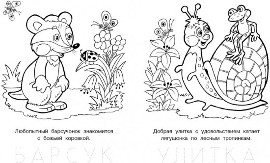 Раскраска «Озорной лягушонок»