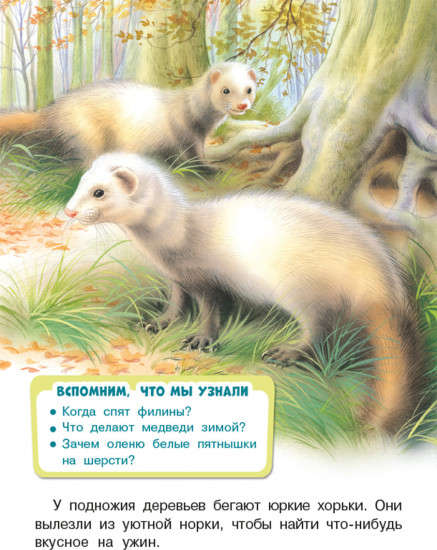 Лесные жители