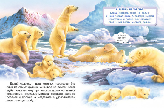 Обитатели льдов