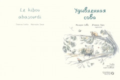 Удивлённая сова - Фото 2