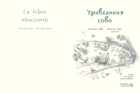 Удивлённая сова