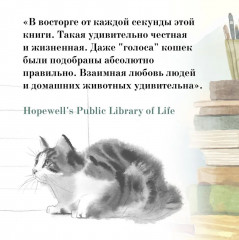 Хроники странствующего кота - Фото 6