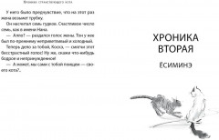 Хроники странствующего кота - Фото 11