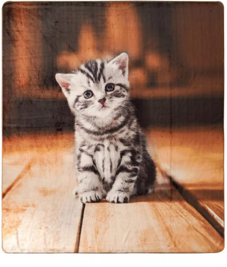 Плед с принтом «Cat»