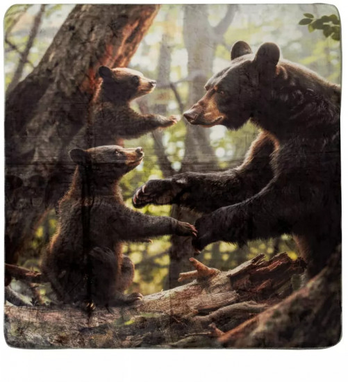 Плед с принтом «Bear Family»
