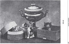 Головоломки, фокусы и развлечения - Фото 18