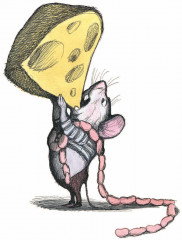 Л.Н. Толстой: Басни - Фото 2