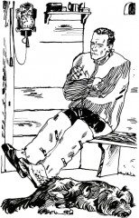 О чём плачут лошади - Фото 2