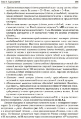 Основы нейрохирургии - Фото 8