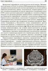 Основы нейрохирургии - Фото 14