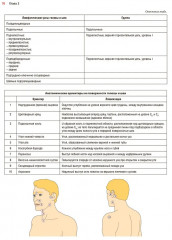 Нейромышечное тейпирование. Лечение отеков, гематом и рубцов - Фото 10