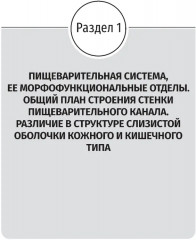 Гистология и эмбриогенез органов ротовой полости - Фото 4