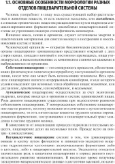 Гистология и эмбриогенез органов ротовой полости - Фото 5