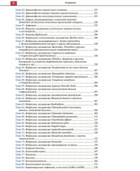 Атлас детских инфекционных заболеваний - Фото 2