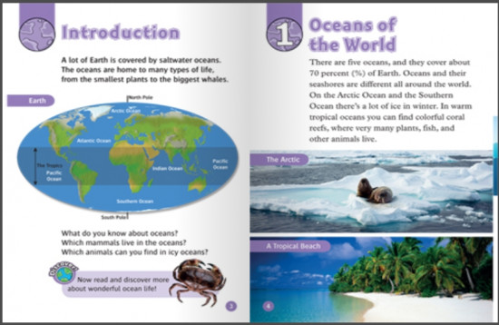 All About Ocean Life