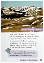 All about Desert Life - Фото 2