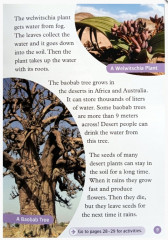 All about Desert Life - Фото 3