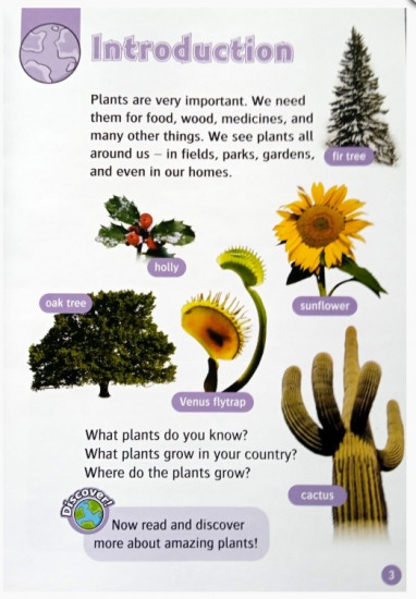 All About Plants