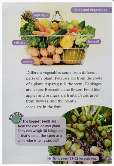 All About Plants