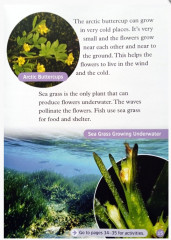 All About Plants - Фото 4