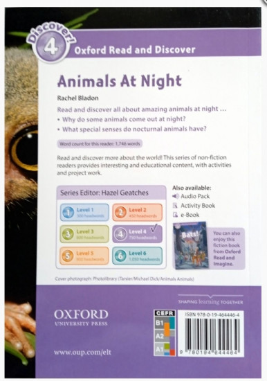 Animals At Night