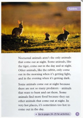 Animals At Night - Фото 2