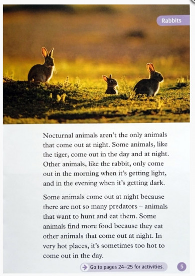 Animals At Night