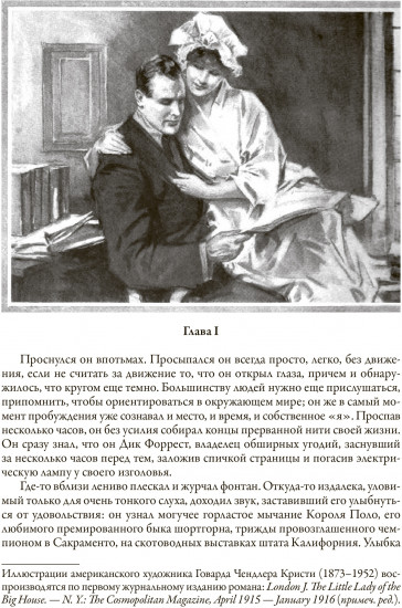 Мартин Иден. Маленькая хозяйка большого дома
