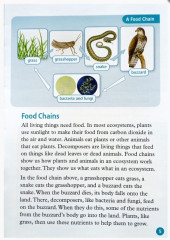 Wonderful Ecosystems - Фото 2