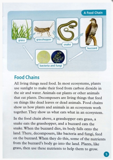 Wonderful Ecosystems