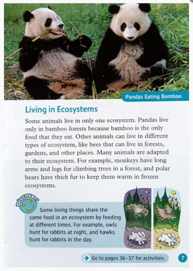 Wonderful Ecosystems