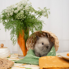 Набор полотенец декоративных «Ботаника» - Фото 2