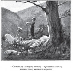 Сказки терских казаков и кавказских горцев - Фото 14