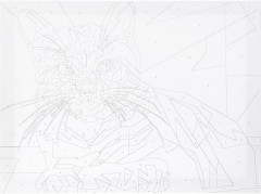 Картина по номерам «Кот» - Фото 1