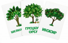 Ассоциации. Деревья и цветы. Развивающие карточки - Фото 1