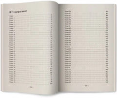 Никогда-никогда. Детективная история Евы Рэй Томас - Фото 13