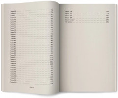 Никогда-никогда. Детективная история Евы Рэй Томас - Фото 14