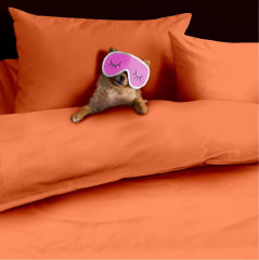 Комплект постельного белья «Терракотовый» - Фото 5