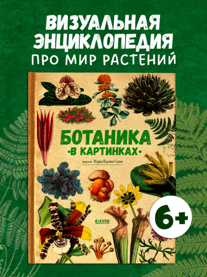 Ботаника в картинках