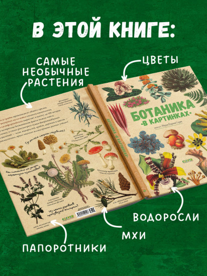 Ботаника в картинках