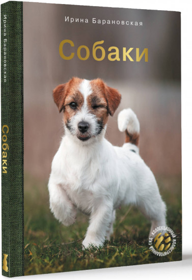 Собаки