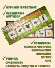 Сортер деревянный «Кто-то лишний» - Фото 1